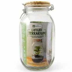 Radis Et Capucine - Terrarium à assembler soi-même avec graines d'asparagus à semer New