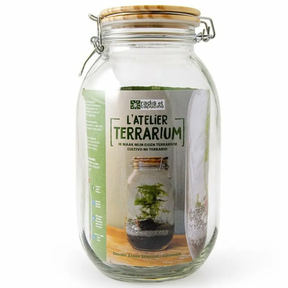 Radis Et Capucine - Terrarium à assembler soi-même avec graines d'asparagus à semer New
