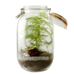 Radis Et Capucine - Terrarium à assembler soi-même avec graines d'asparagus à semer New