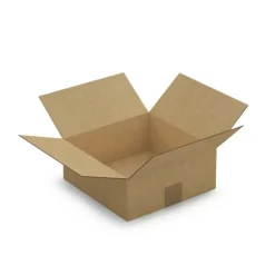 Raja - Carton d'emballage 25 x 25 x 10 cm - simple cannelure Online