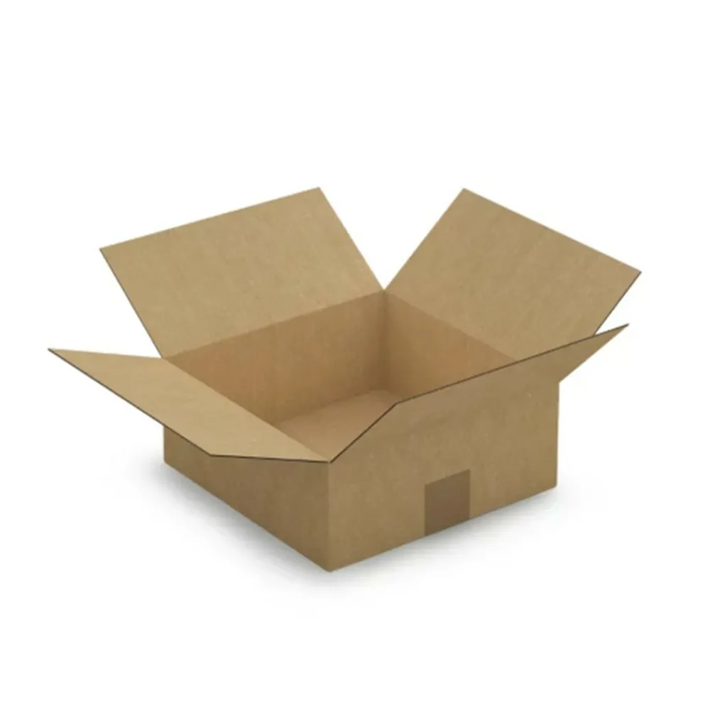 Raja - Carton d'emballage 25 x 25 x 10 cm - simple cannelure Online