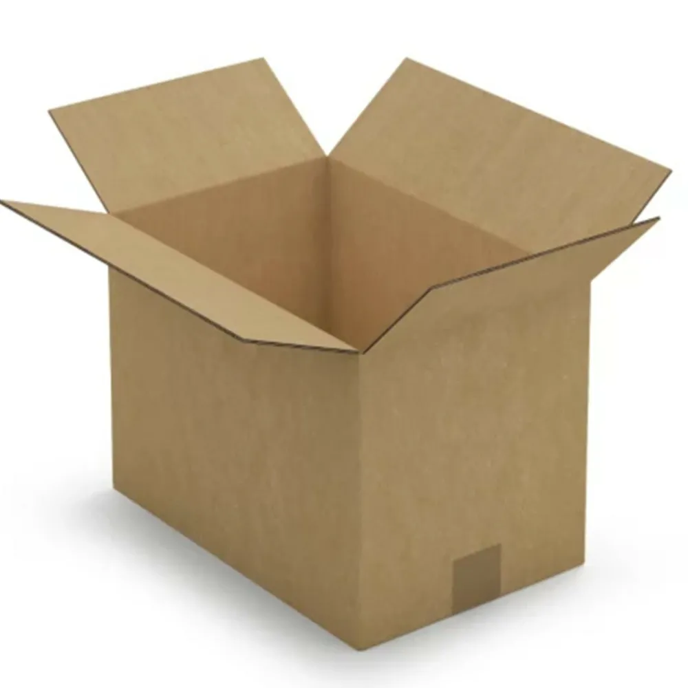 Raja - Carton d'emballage 25 x 15 x 14 cm - simple cannelure Hot