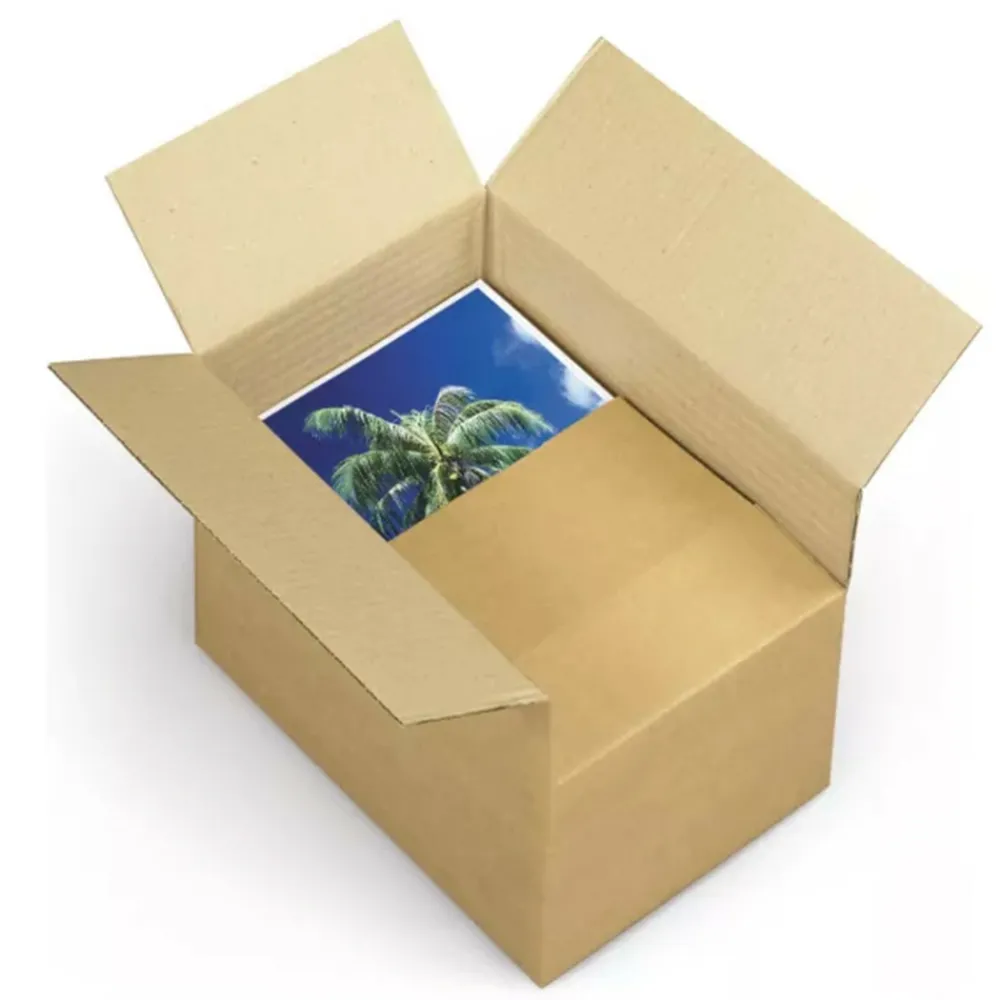 Raja - Carton d'emballage 25 x 15 x 14 cm - simple cannelure Hot