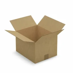 Raja - 20 cartons d'emballage 30 x 25 x 20 cm - simple cannelure Sale