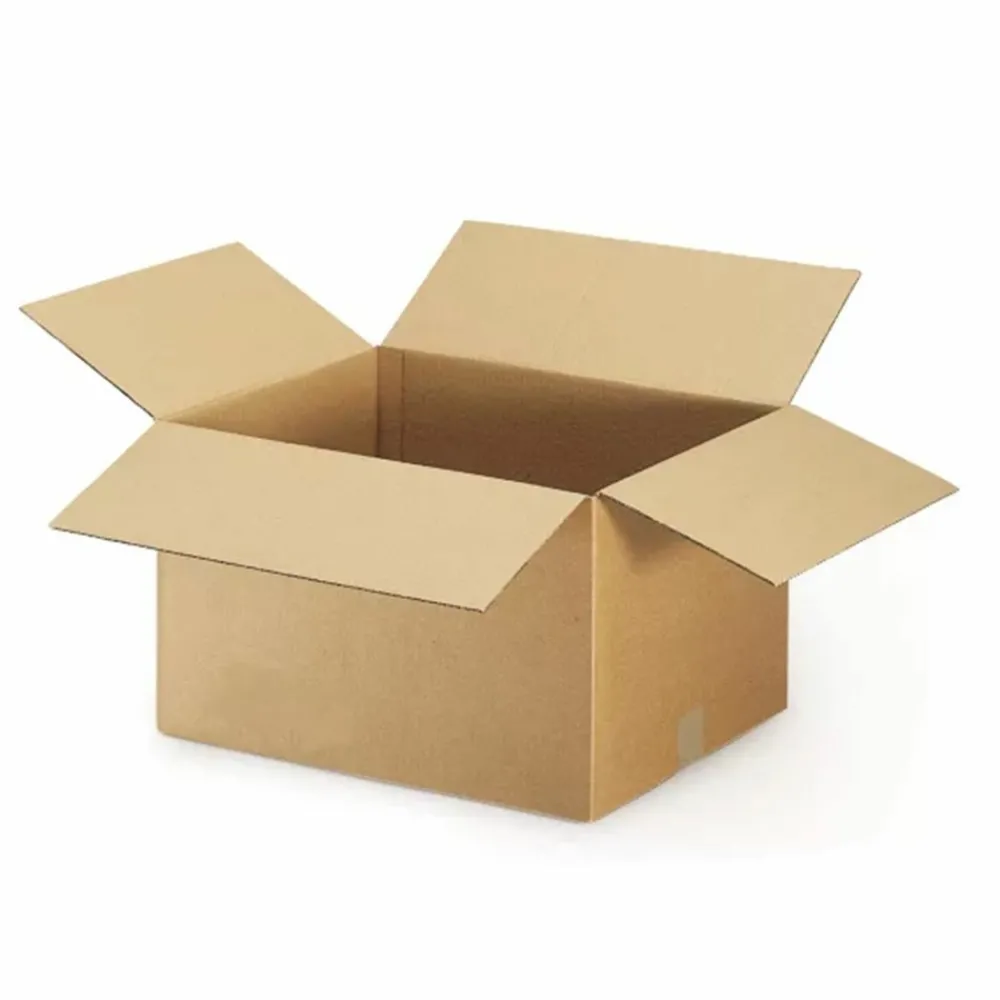 Raja - 20 cartons d'emballage 16 x 12 x 11 cm - double cannelure Outlet