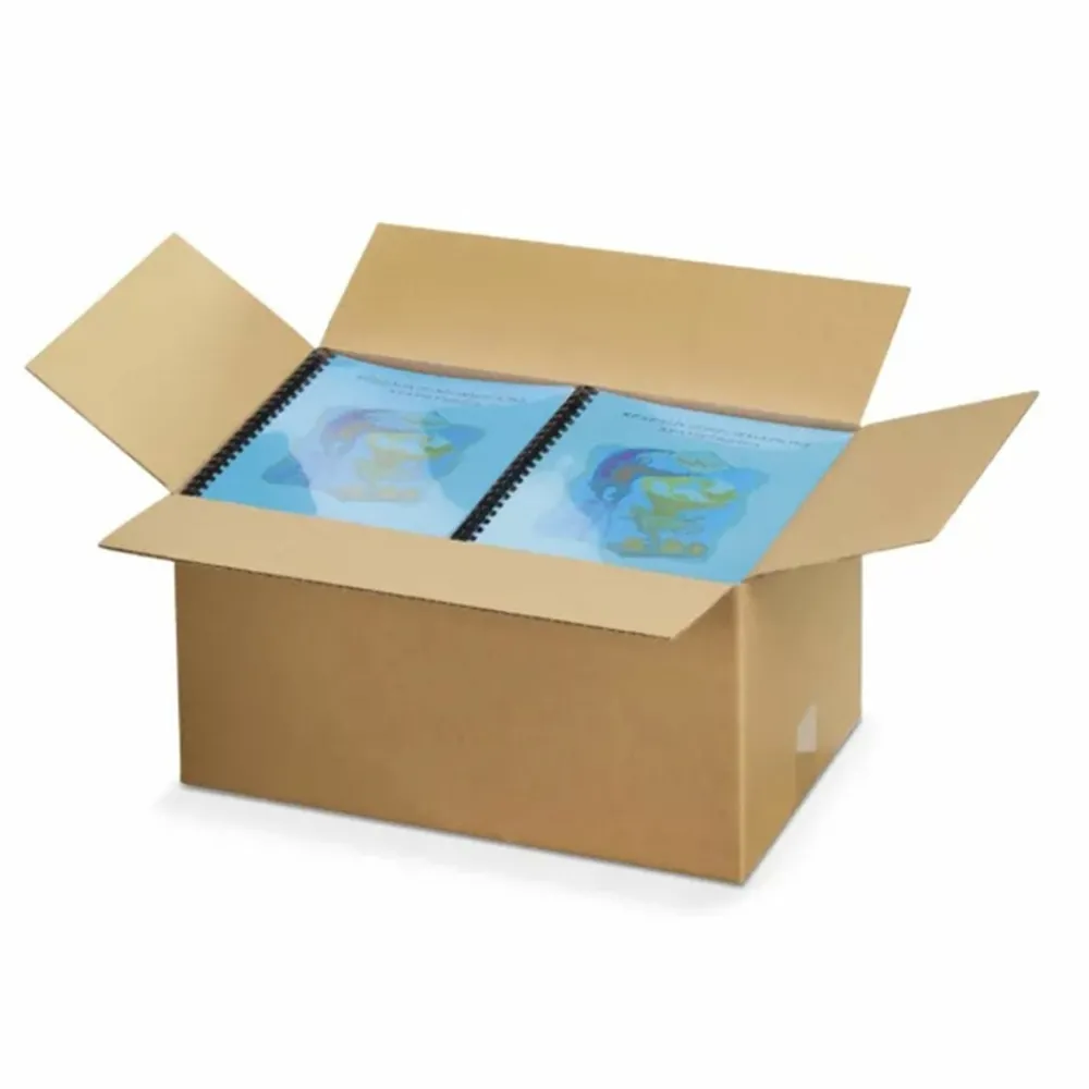 Raja - 20 cartons d'emballage 16 x 12 x 11 cm - double cannelure Outlet