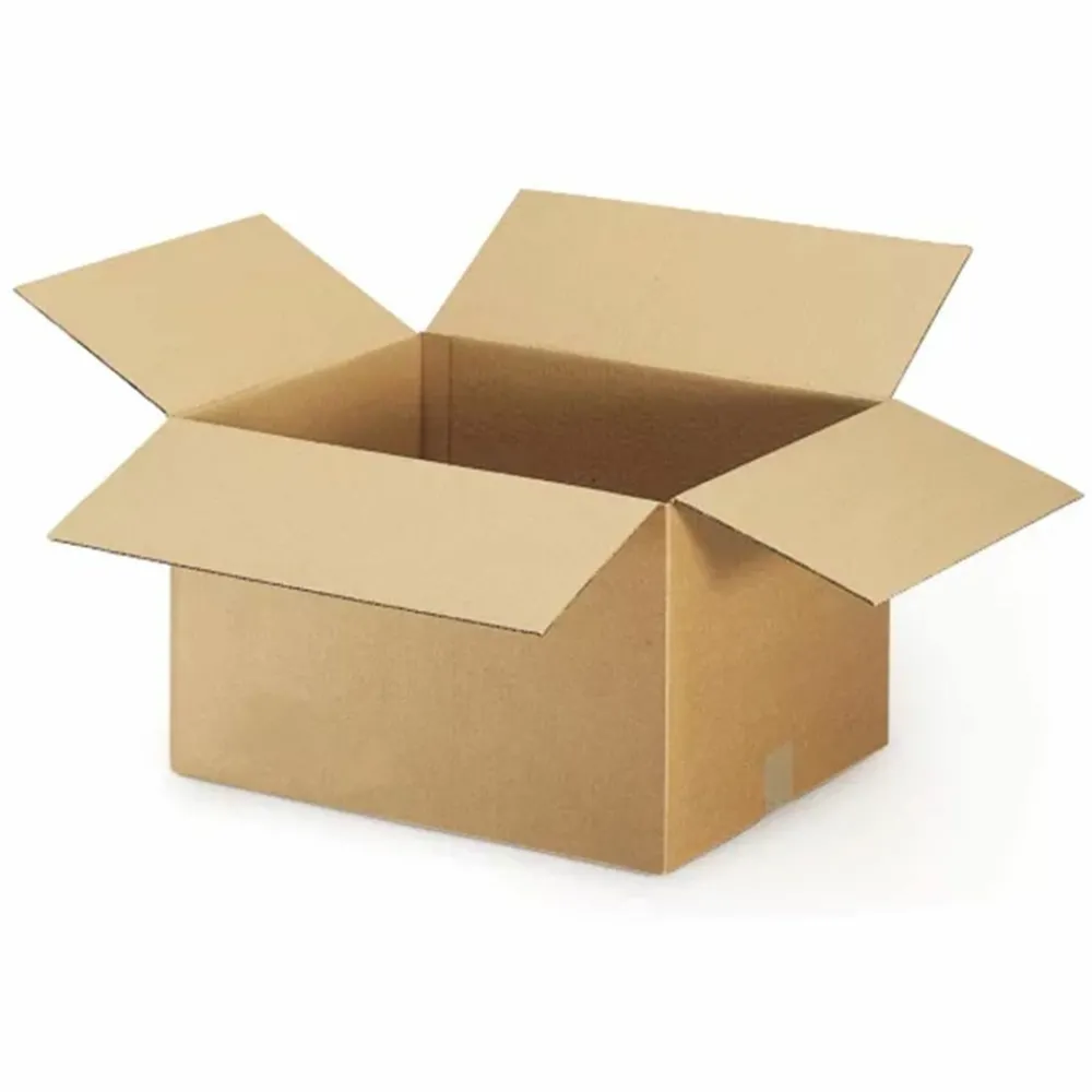 Raja - 10 cartons d'emballage 20 x 15 x 9 cm - simple cannelure Sale