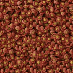 Sera Alimentation | - Printemps/ automne 2.2kg koi professional aliment composé