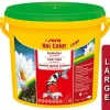 Sera Alimentation | - koi color large 3.8l (980g)