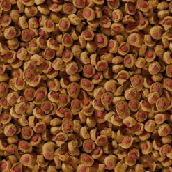 Sera Alimentation | - Été 2.2kg koi professional aliment
