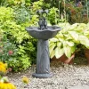 Smart Garden - Fontaine solaire bain d'oiseaux duo de grenouilles Outlet