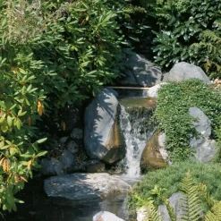Solairepratique - Kit pompe solaire cascade fontaine gros débit premium 5000l-150w Sale