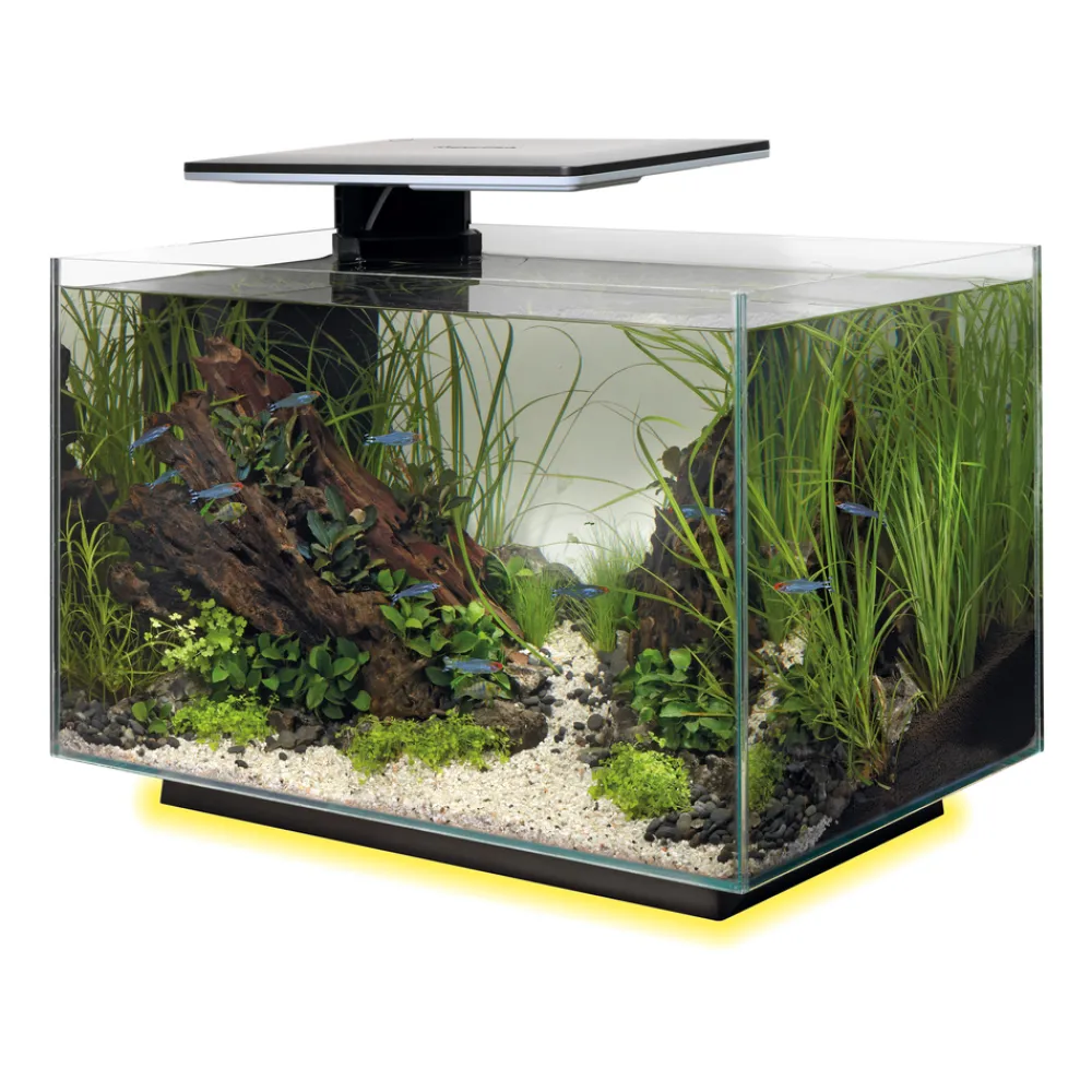 Superfish - Aquarium Quadro 40, coloris noir - L.45xP.25xH.35,7cm Hot