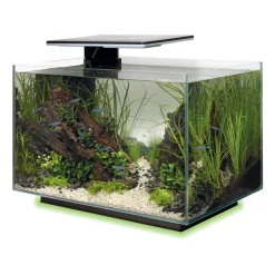 Superfish - Aquarium Quadro 40, coloris noir - L.45xP.25xH.35,7cm Hot