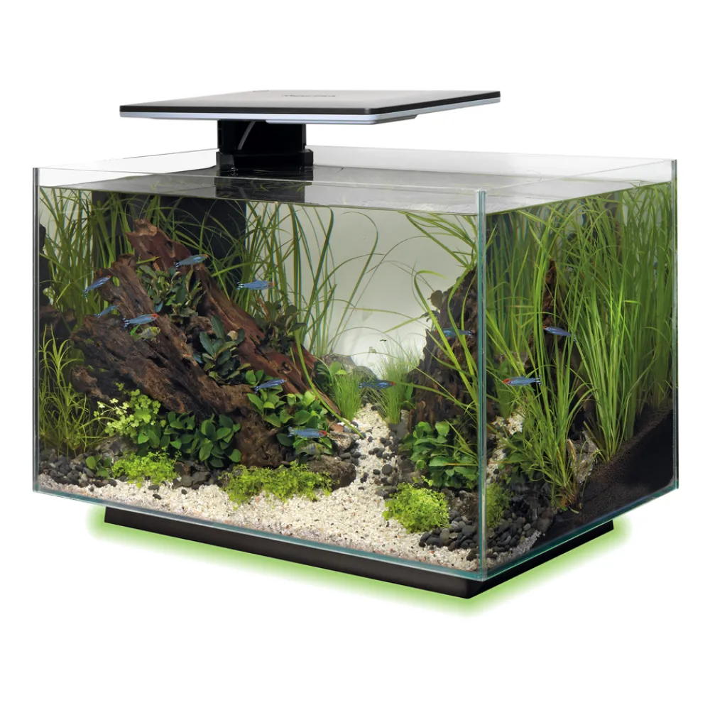 Superfish - Aquarium Quadro 40, coloris noir - L.45xP.25xH.35,7cm Hot