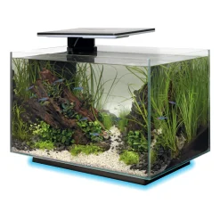 Superfish - Aquarium Quadro 40, coloris noir - L.45xP.25xH.35,7cm Hot