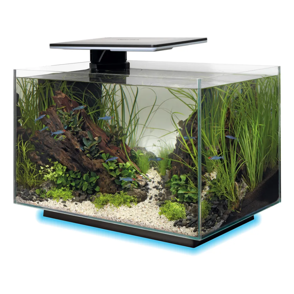 Superfish - Aquarium Quadro 40, coloris noir - L.45xP.25xH.35,7cm Hot