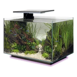 Superfish - Aquarium Quadro 40, coloris noir - L.45xP.25xH.35,7cm Hot