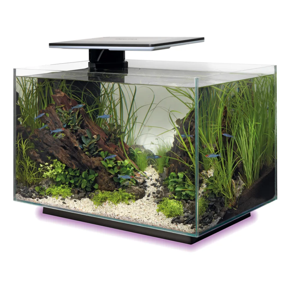Superfish - Aquarium Quadro 40, coloris noir - L.45xP.25xH.35,7cm Hot