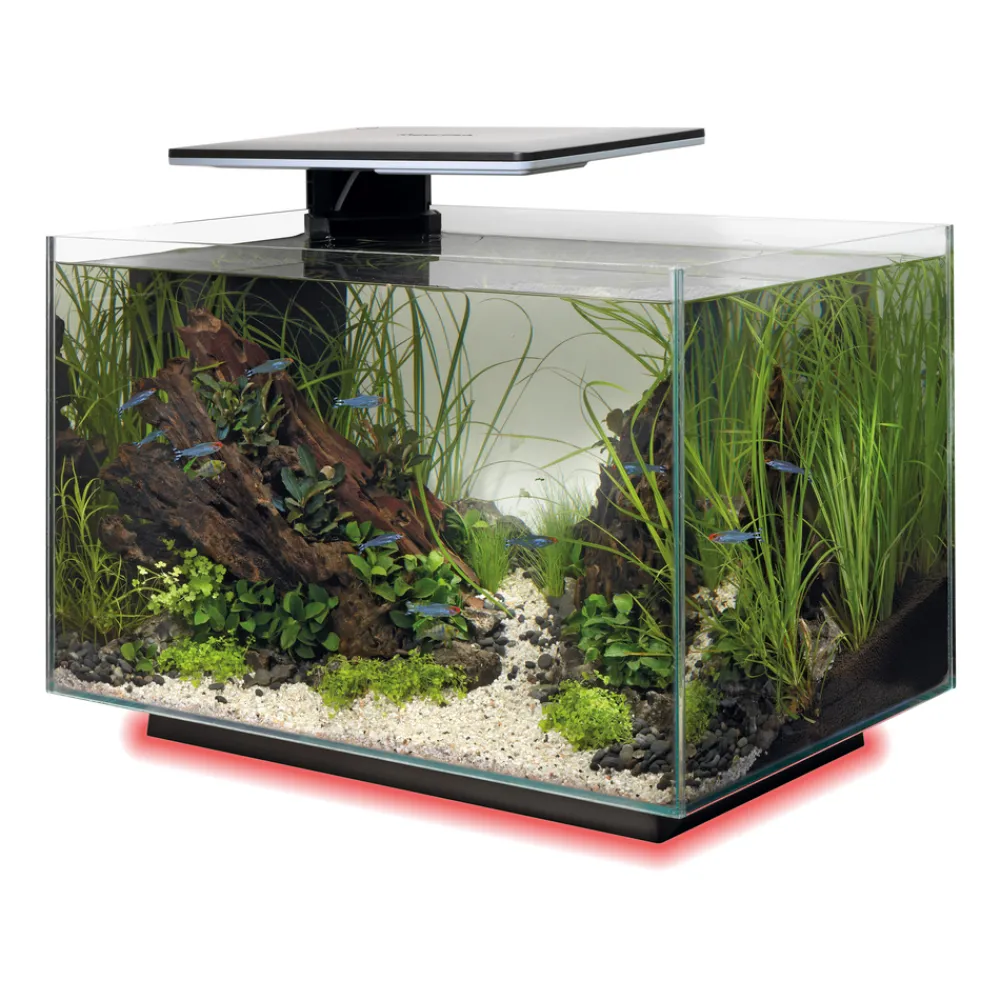 Superfish - Aquarium Quadro 40, coloris noir - L.45xP.25xH.35,7cm Hot