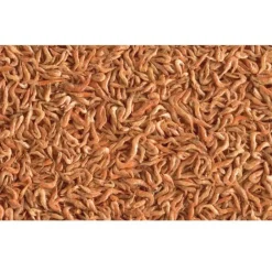 Tetra - Crevettes entières séchés 100 g - 1l pour toutes les tortues d'eau Best