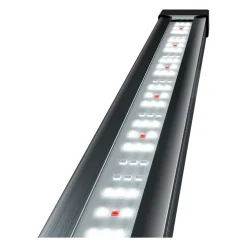 Tetra - Rampe d'éclairage tetronic led proline 780