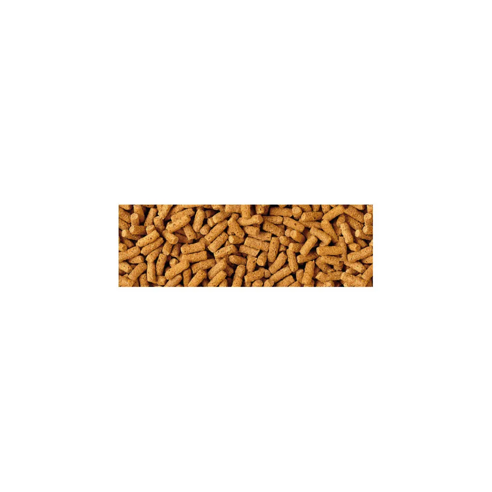 Tetra - Wheatgerm sticks 200g-1l aliments poisson saison froide pond Hot