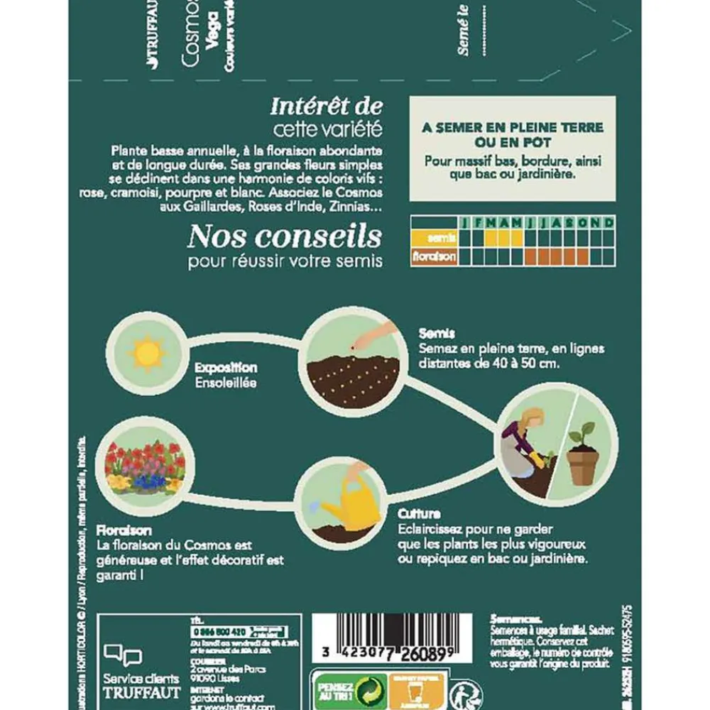 Truffaut - Cosmos nain Vega couleur variée : en sachet Clearance