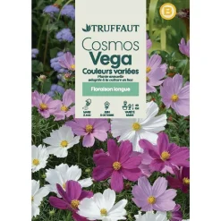 Truffaut - Cosmos nain Vega couleur variée : en sachet Clearance