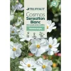 Truffaut - Cosmos sensation Blanc : En sachet Clearance
