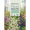 Truffaut - Fleurs D été Pour Balcons: Grand Sachet New