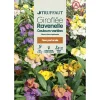 Truffaut - Giroflée Ravenelle "simple" variée 1 g Sale