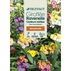 Truffaut - Giroflée Ravenelle "simple" variée 1 g Sale