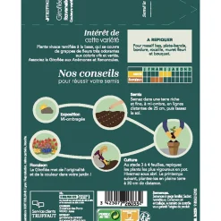 Truffaut - Giroflée Ravenelle "simple" variée 1 g Sale
