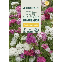 Truffaut - Œillet de poete Passionata double couleur variée : en sachet