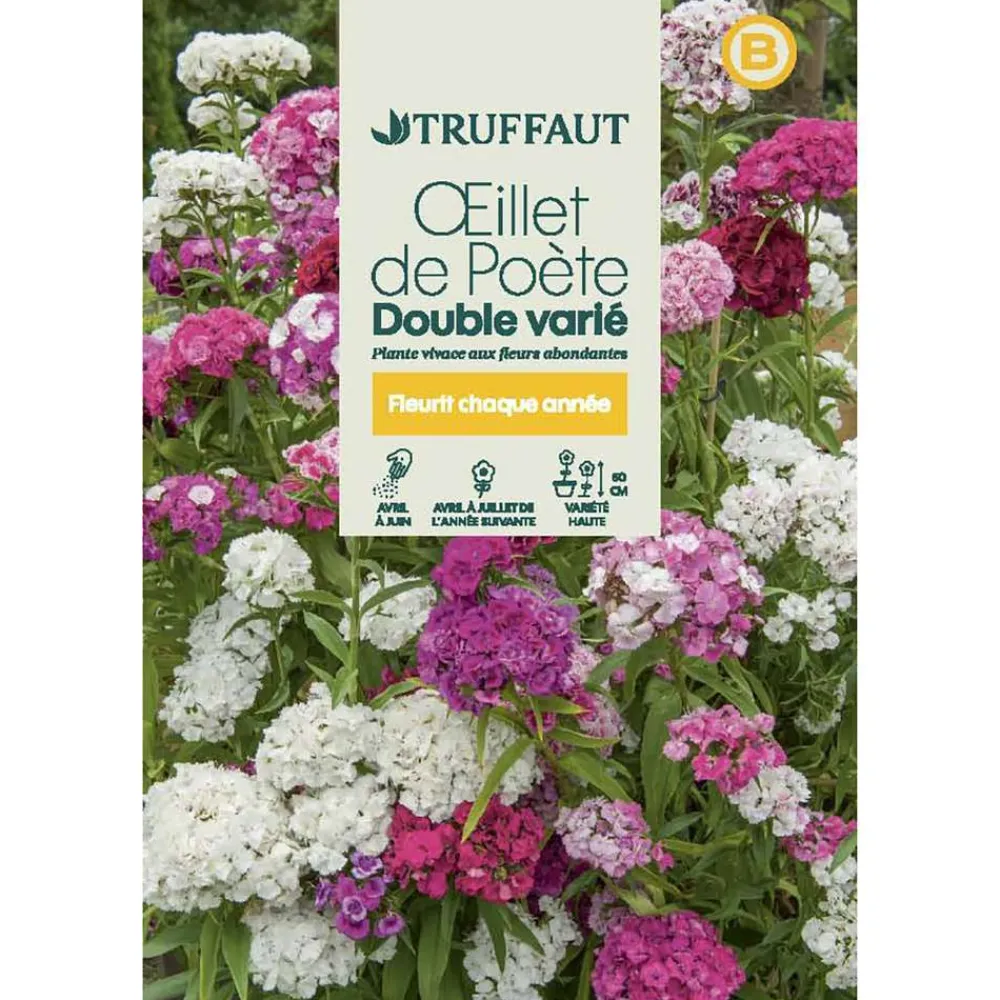 Truffaut - Œillet de poete Passionata double couleur variée : en sachet