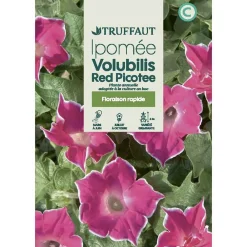 Truffaut - Ipomée red picotee 2 g Hot