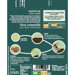 Truffaut - Ipomée volubilis Couleur Variée : en Sachet Hot