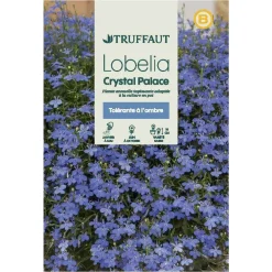 Truffaut - Lobélia Crystal Palace New