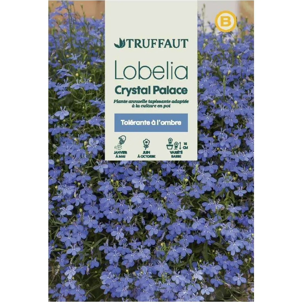 Truffaut - Lobélia Crystal Palace New