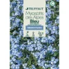 Truffaut - Myosotis des Alpes bleu : en sachet Outlet