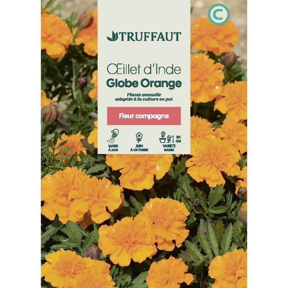 Truffaut - Oeillet d'inde globe orange 1 g Discount