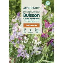 Truffaut - Pois De Senteur Couleurs Variées : En sachet Outlet