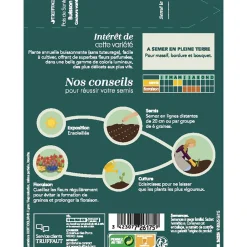 Truffaut - Pois De Senteur Couleurs Variées : En sachet Outlet