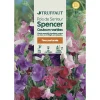 Truffaut - Pois de senteur géant Spencer couleur variée : en sachet Sale