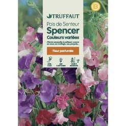 Truffaut - Pois de senteur géant Spencer couleur variée : en sachet Sale