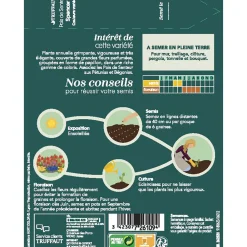 Truffaut - Pois de senteur géant Spencer couleur variée : en sachet Sale