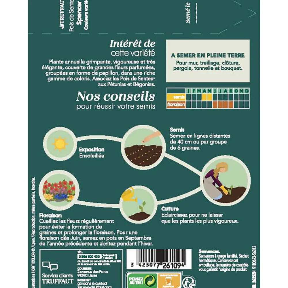 Truffaut - Pois de senteur géant Spencer couleur variée : en sachet Sale
