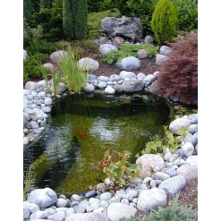 Ubbink - Bassin de jardin Start 1000 litres L215 x l170 x H65cm Best