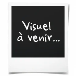 Ubbink Bassins Et Fontaines | - ensemble de filtres d'étang filtrapure 2000 l 16 l avec pompe 401417